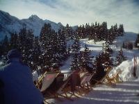 liegestuehle.jpg  640x480  48 KB