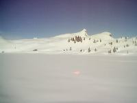 puderzucker.jpg  640x480  20 KB