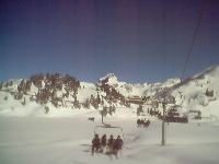 truebseehopper.jpg  640x480  37 KB